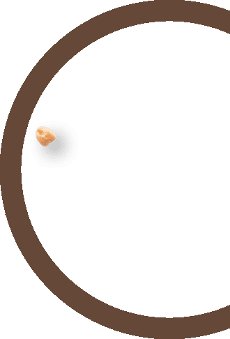 nuts